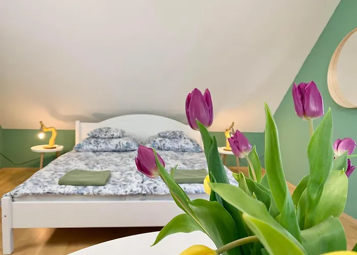 ゲストハウス Vazul Vendeghaz Vászoly