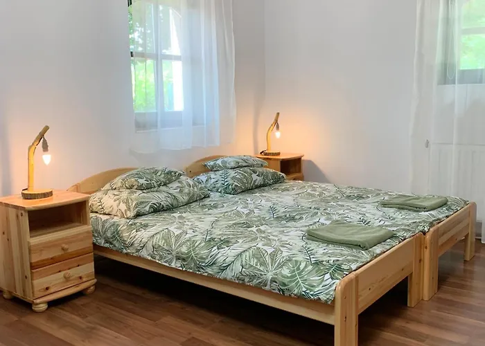 ゲストハウス Vazul Vendeghaz Vászoly