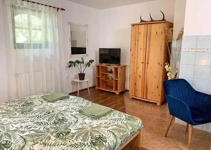 ゲストハウス Vazul Vendeghaz