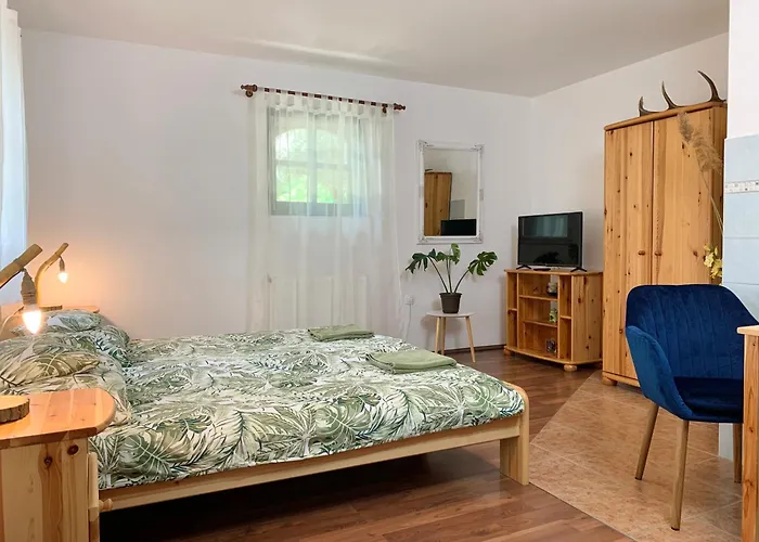 ゲストハウス Vazul Vendeghaz 3*