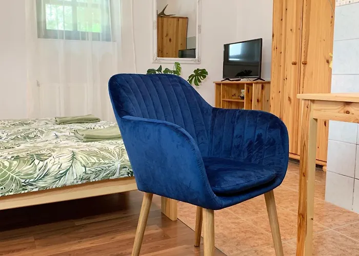 ゲストハウス Vazul Vendeghaz