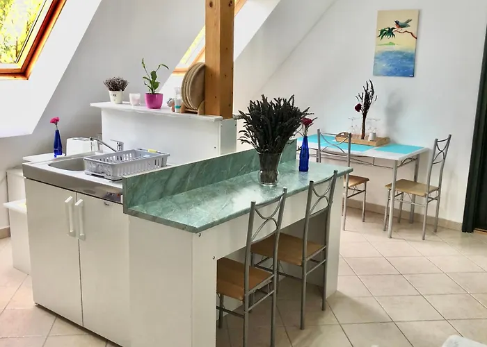 ゲストハウス Vazul Vendeghaz Vászoly