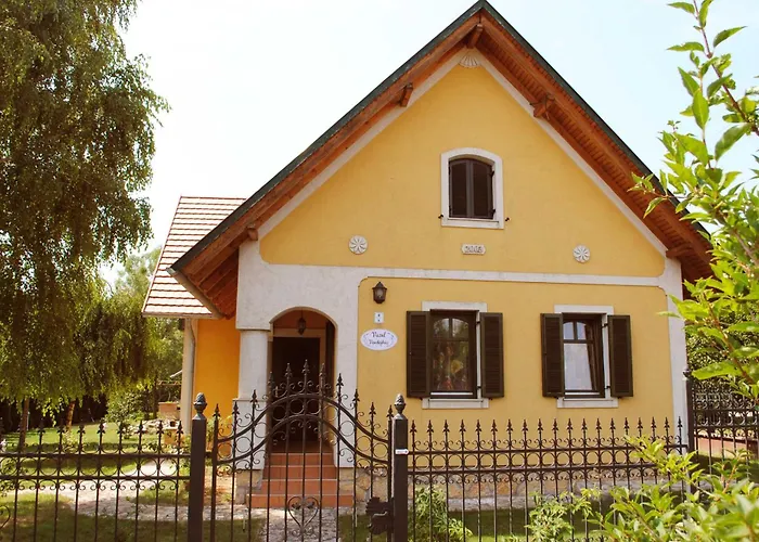 Vazul Vendeghaz ゲストハウス Vászoly